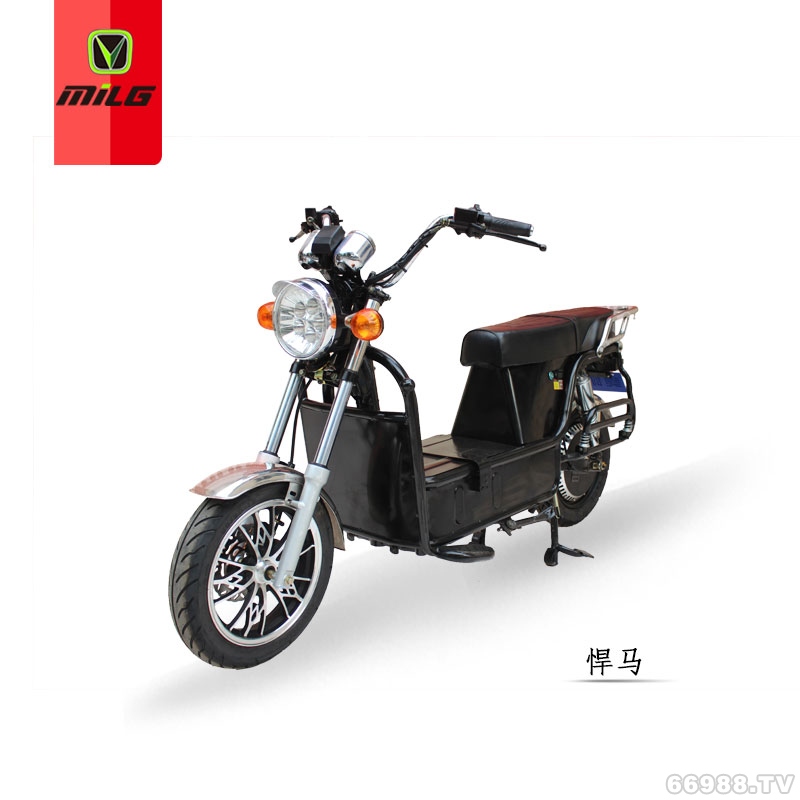 富騰達(dá)美翎悍馬電動(dòng)車(chē)