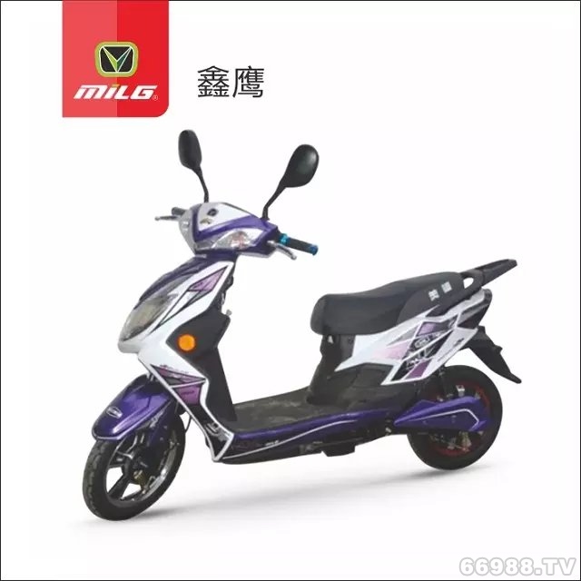 富騰達(dá)美翎鑫鷹電動車