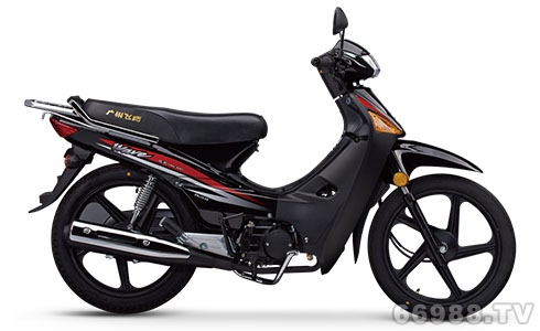 飛肯FK110-3A威風(fēng)摩托車(chē)