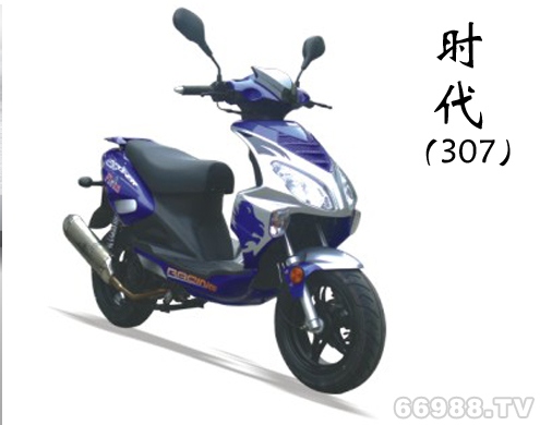 雷克風(fēng)火輪時代(307)FHL150T-12S摩托車